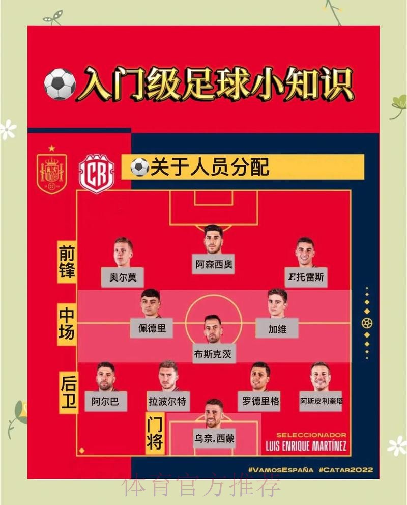 世界杯让球分析站：专业解读每场赛事的让球态势